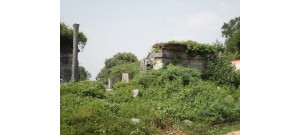 அழிசூர்